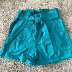 Brand New Never Worn Paperbag Loft Shorta